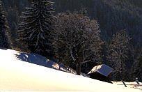 Pension Jordan Kirchberg en Tyrol Extérieur photo